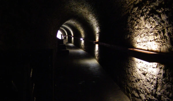 Bilde for arrangement